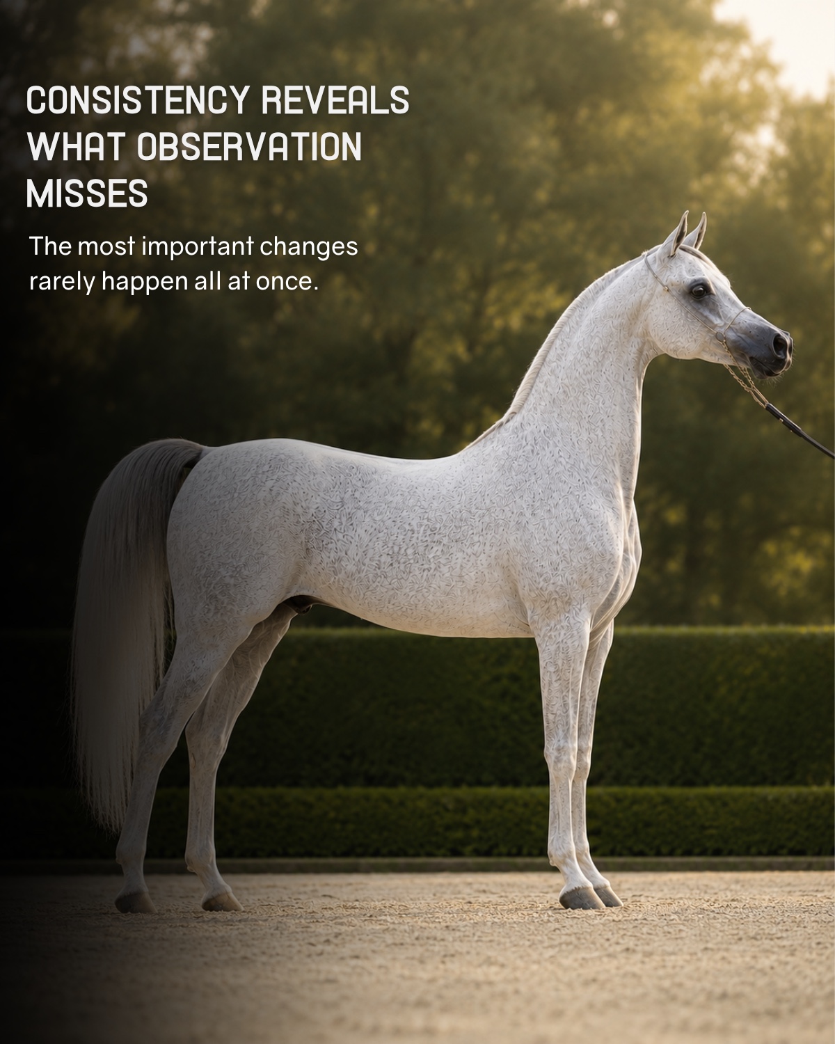 Consistency reveals what observation misses