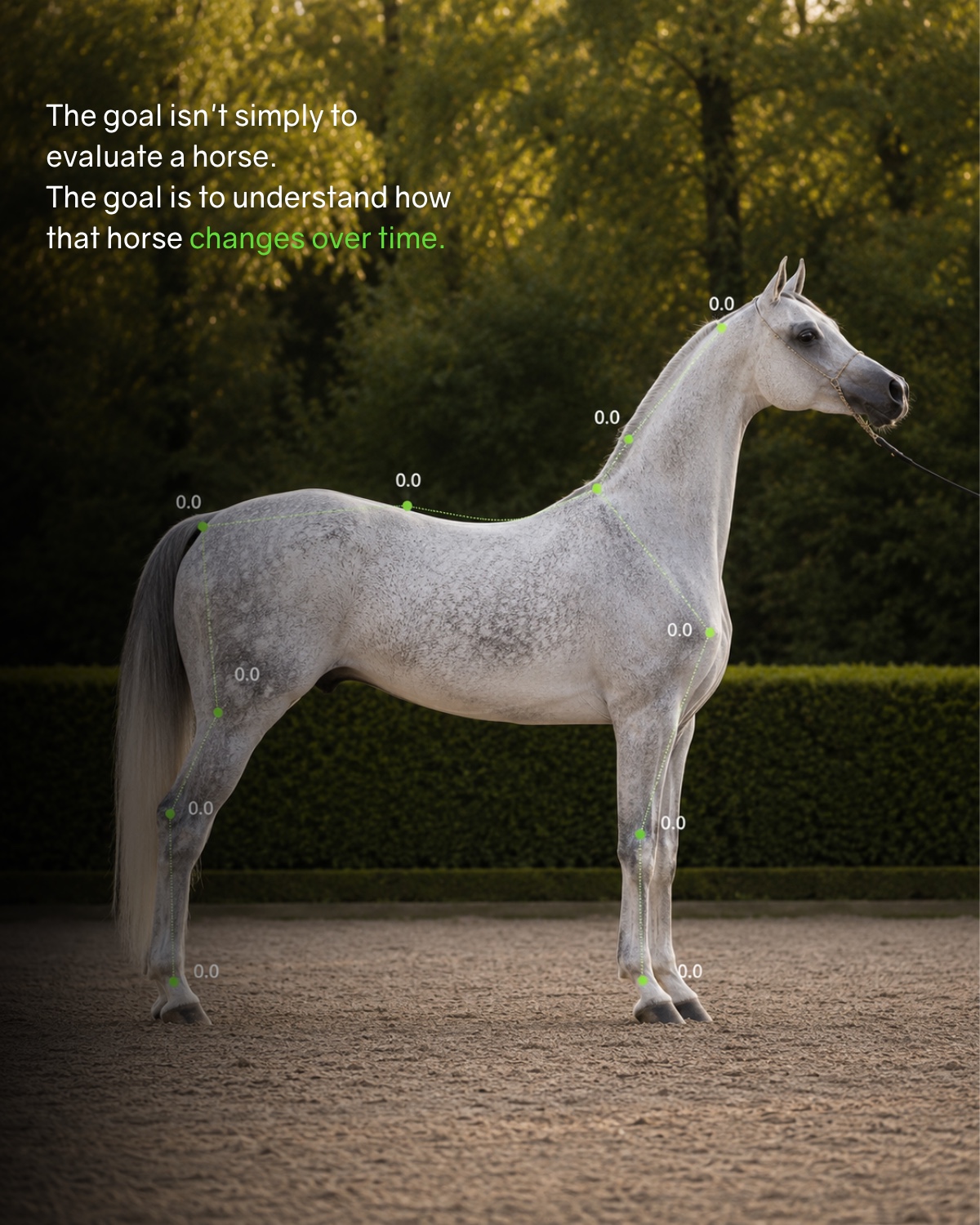 Understanding how a horse changes over time