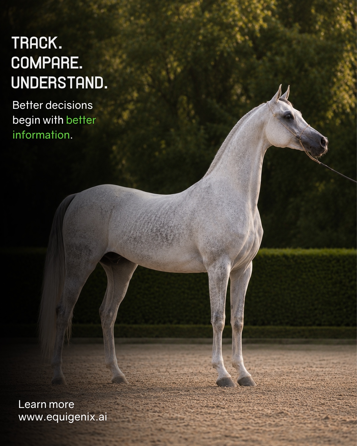 Track, compare, understand